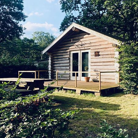 Knus Boomstamhuisje Op De Schatberg - Nabij Toverland Sevenum Exteriér fotografie